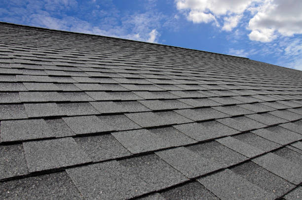 Best Roof Moss and Algae Removal  in La Nte, MO