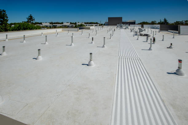 Best Roof Ventilation Installation  in La Nte, MO